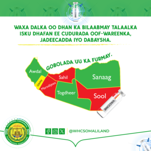 Wasaaradda Horumarinta Caafimaadka JSL — image 2