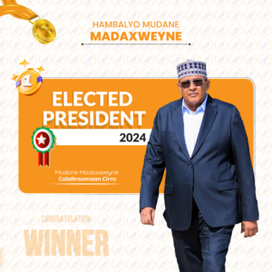 Presidential Campaign (2024) — image 1