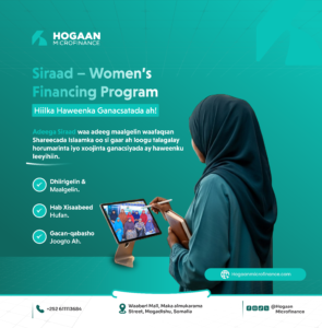 Hogaan Microfinance — image 1