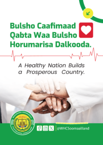 Wasaaradda Horumarinta Caafimaadka JSL — image 5