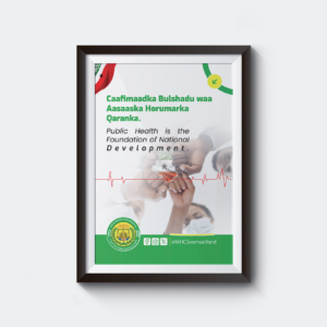 Wasaaradda Horumarinta Caafimaadka JSL — image 4